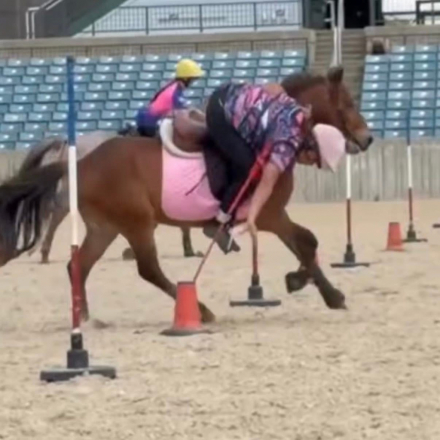 Connemara (Connemara, Gelding) in Pine Mountain, GA