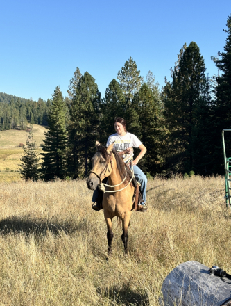 Morgan (Morgan, Mare) in Kingston, ID