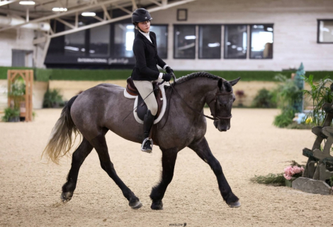 HorseID: 2319764 Lightning - PhotoID: 1107149