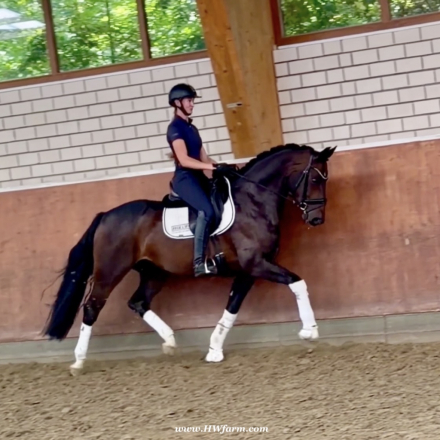 Hanoverian