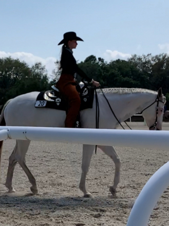 HorseID: 2319797 Cant Be Trusted - PhotoID: 1107200