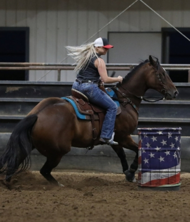 HorseID: 2319809 Seis Timber - PhotoID: 1107205