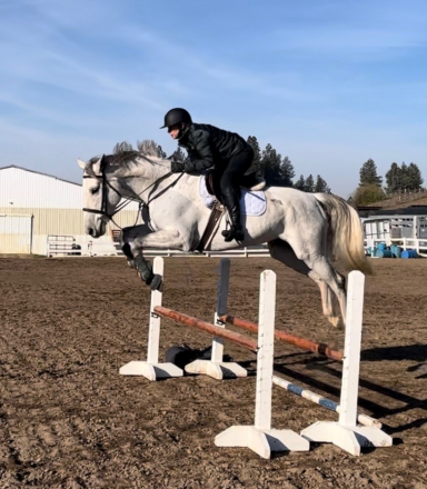 HorseID: 2319865 Chantilly - PhotoID: 1107306