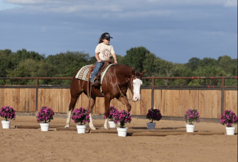 HorseID: 2319888 Media Famous - PhotoID: 1107318