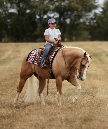 HorseID: 2319890 SMOKIN O SPARK - PhotoID: 1107325