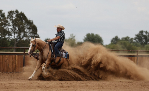 HorseID: 2319890 SMOKIN O SPARK - PhotoID: 1107326