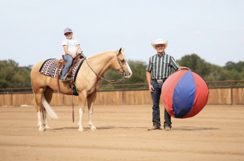 HorseID: 2319890 SMOKIN O SPARK - PhotoID: 1107327