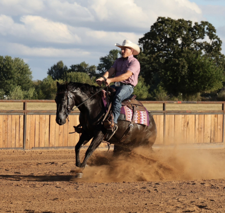 HorseID: 2319892 THIS CHICKS SMOKN - PhotoID: 1107337