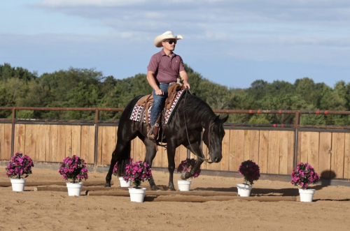 HorseID: 2319892 THIS CHICKS SMOKN - PhotoID: 1107338