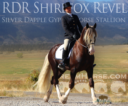 Horse ID: 2126960 RDR Shirefox Revel