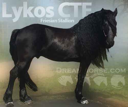 Horse ID: 2212919 Lykos CTF