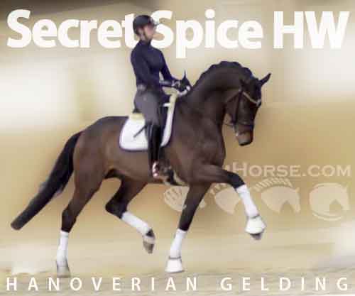 Horse ID: 2222055 Secret Spice HW @ www.HWfarm.com