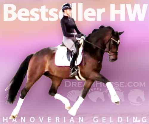 Horse ID: 2228784 Bestseller HW @ www.HWfarm.com