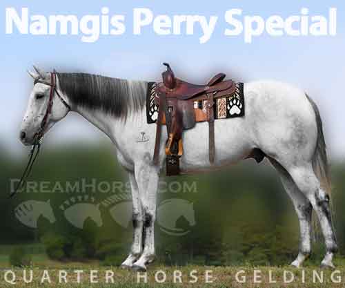 Horse ID: 2237591 Namgis Perry Special