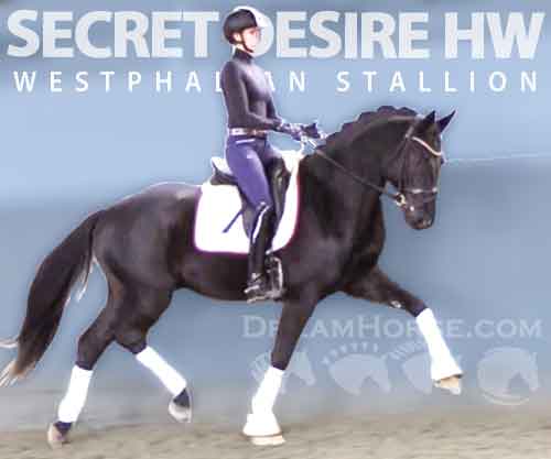Horse ID: 2238799 Secret Desire HW