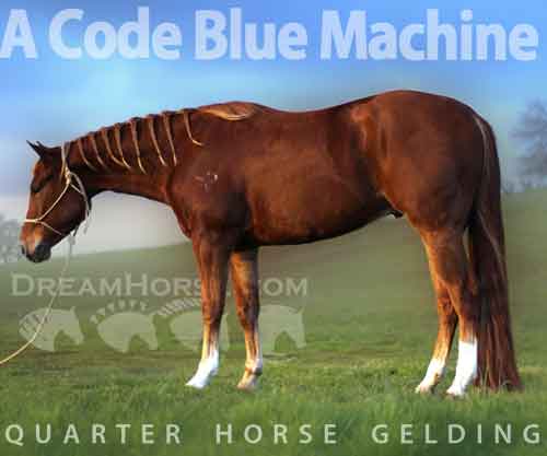 Horse ID: 2242334 A Code Blue Machine