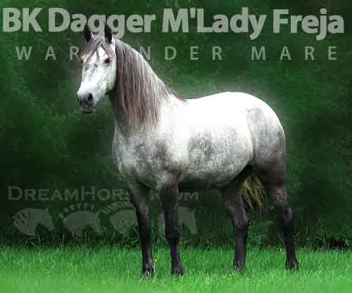 Horse ID: 2244942 BK Dagger M'Lady Freja