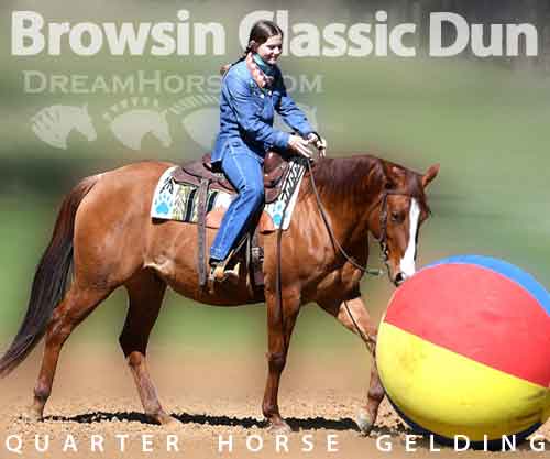 Horse ID: 2245101 Browsin Classic Dun