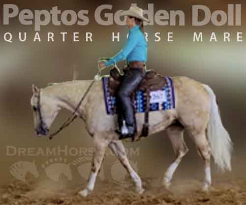 Horse ID: 2249979 Peptos Golden Doll