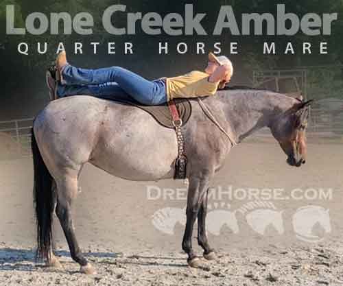 Horse ID: 2253183 Lone Creek Amber.  Watch the amazing videos.