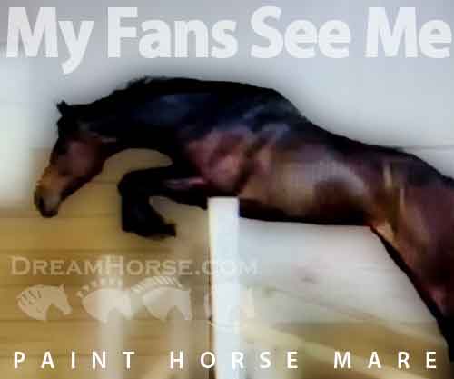 Horse ID: 2258184 My Fans See Me