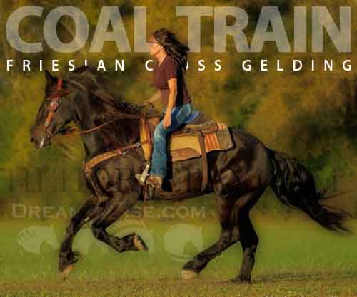 Horse ID: 2261966 Coal Train