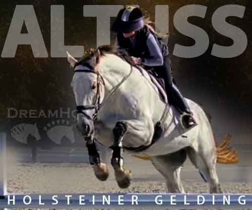 Horse ID: 2261982 Altuss
