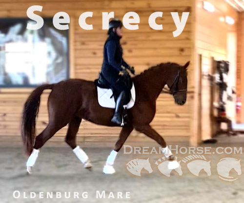 Horse ID: 2262087 Secrecy