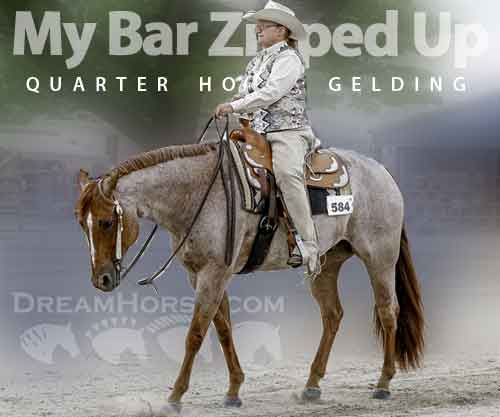 Horse ID: 2262095 My Bar Zipped Up