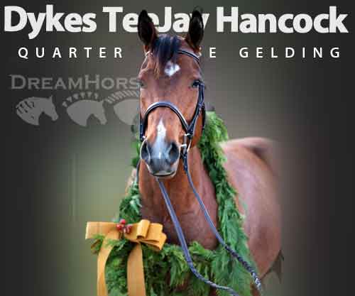 Horse ID: 2262383 Dykes TeeJay Hancock