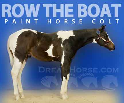 Horse ID: 2263134 Row The Boat