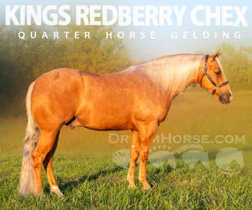 Horse ID: 2263336 KINGS REDBERRY CHEX