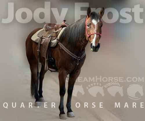 Horse ID: 2265063 Jody Frost