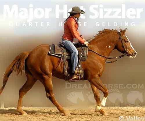 Horse ID: 2265333 Major Hot Sizzler
