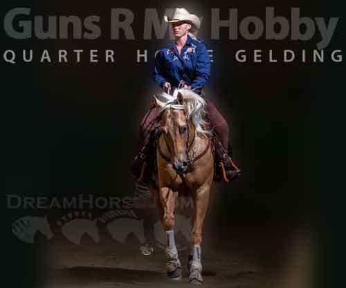 Horse ID: 2265707 Guns R My Hobby