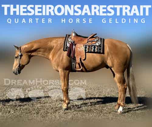 Horse ID: 2266697 THESEIRONSARESTRAIT