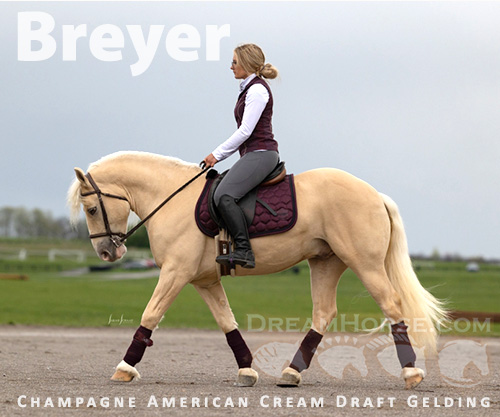 Horse ID: 2268197 Breyer