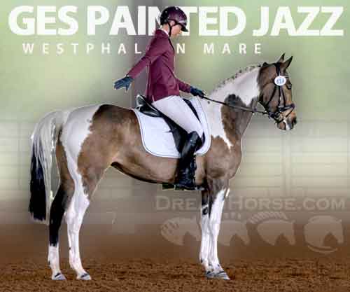 Horse ID: 2268728 GES Painted Jazz
