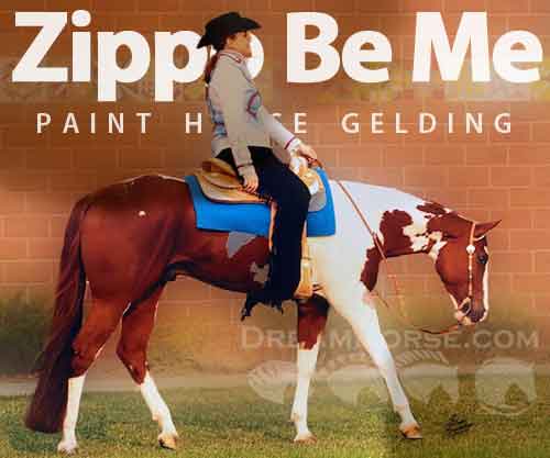 Horse ID: 2268762 Zippo Be Me