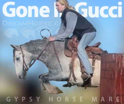 Horse ID: 2268923 Gone In Gucci
