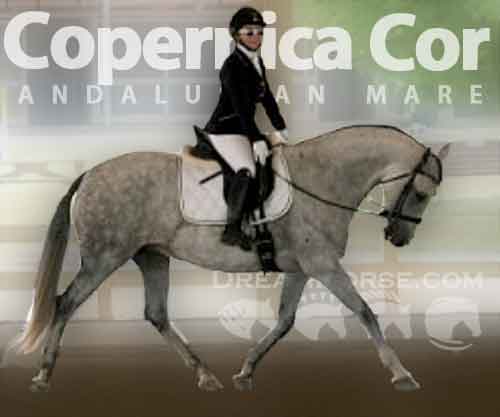 Horse ID: 2269265 Copernica Cor