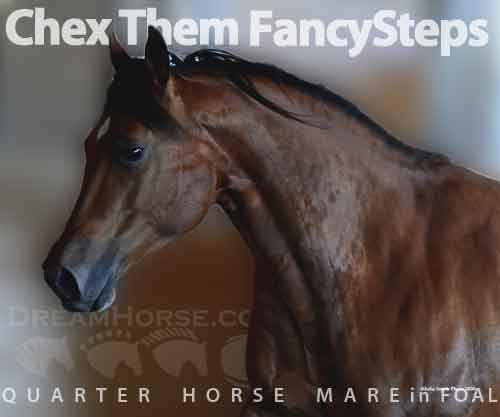 Horse ID: 2269488 Chex Them FancySteps