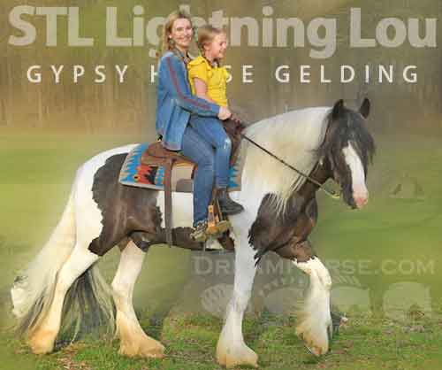 Horse ID: 2269609 STL Lightning Lou