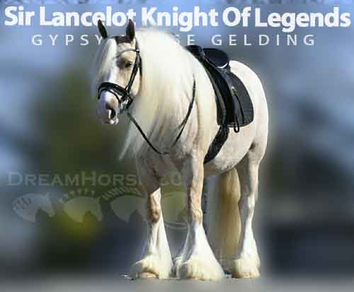 Horse ID: 2269765 Sir Lancelot Knight Of Legends