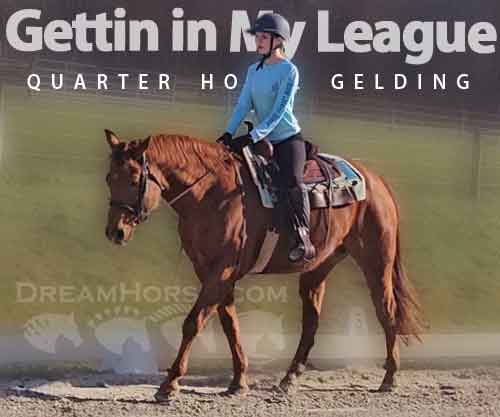 Horse ID: 2270352 Gettin in my League