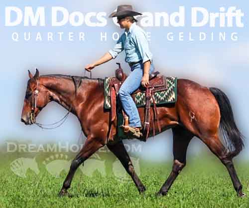 Horse ID: 2270933 DM Docs Grand Drift