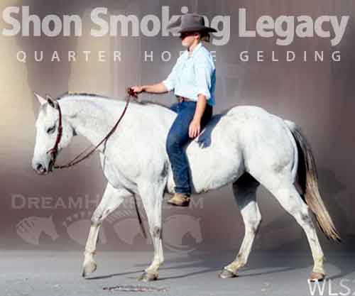 Horse ID: 2270934 Shon Smoking Legacy