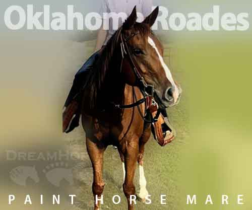 Horse ID: 2270942 Oklahoma Roades