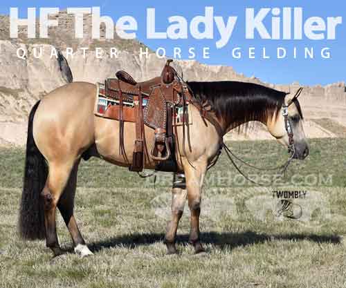 Horse ID: 2271279 HF The Lady Killer
