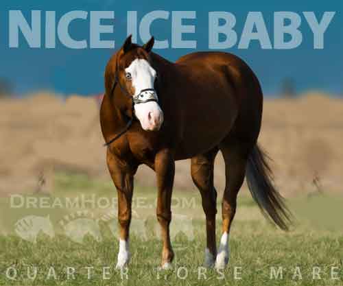 Horse ID: 2272110 NICE ICE BABY